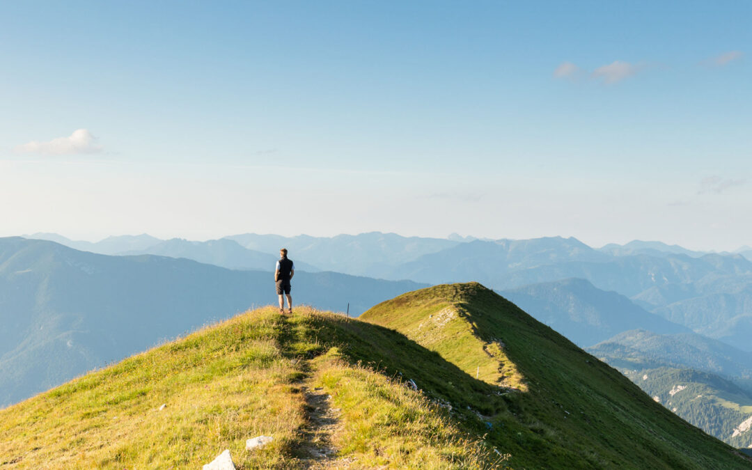 Reproduction d’un template : WordPress