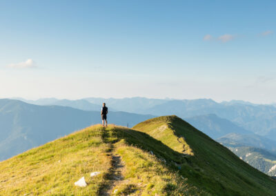 Reproduction d’un template : WordPress